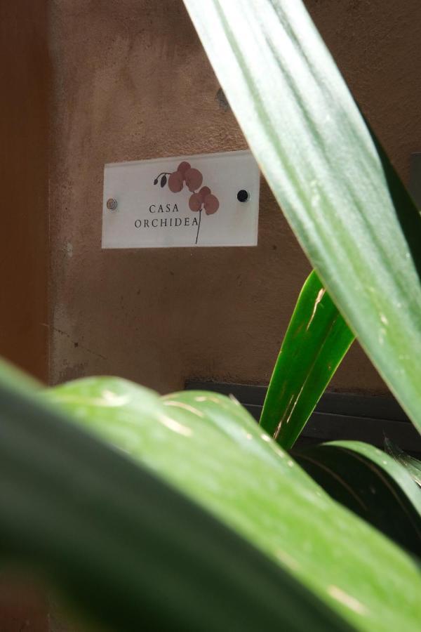 דירות רומא Casa Orchidea מראה חיצוני תמונה